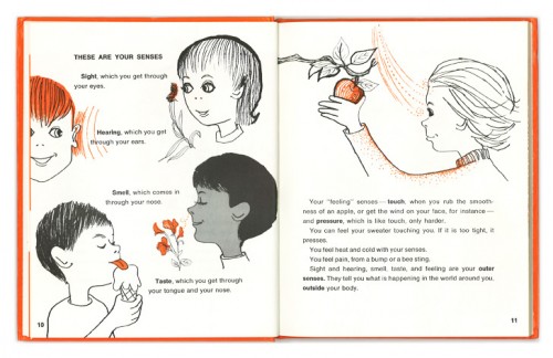 Senses Page 10-12 LR Senses Page 10-12 LR