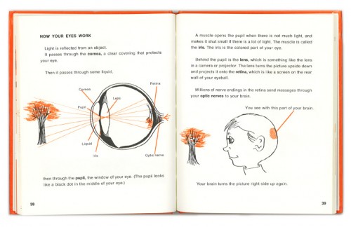 Senses Page 38-39 LR Senses Page 38-39 LR