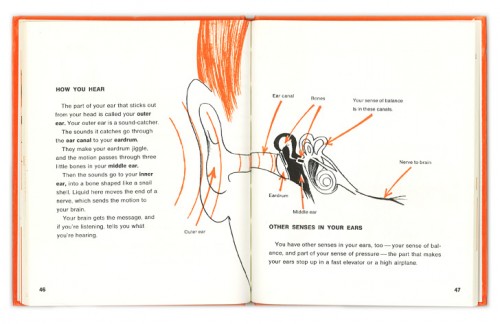 Senses Page 46-47 LR Senses Page 46-47 LR