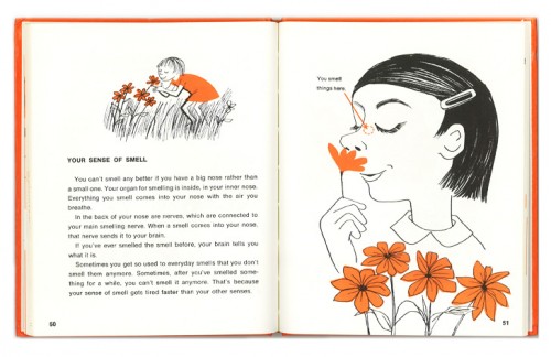 Senses Page 50-51 LR Senses Page 50-51 LR