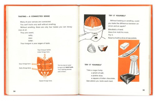 Senses Page 54-55 LR Senses Page 54-55 LR